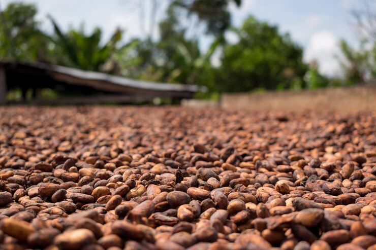 Cocoa pods