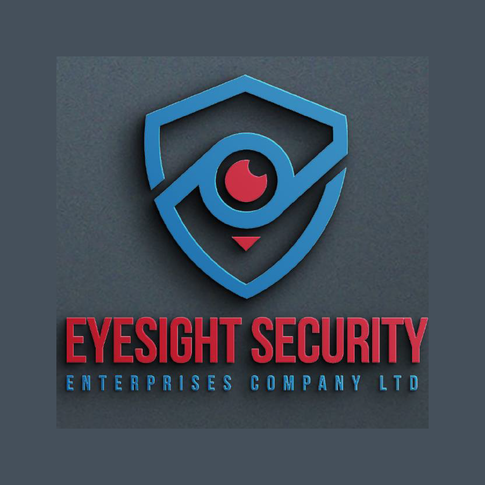 Professional Eyesight  Company Profile Designed by Frajuu Digitals