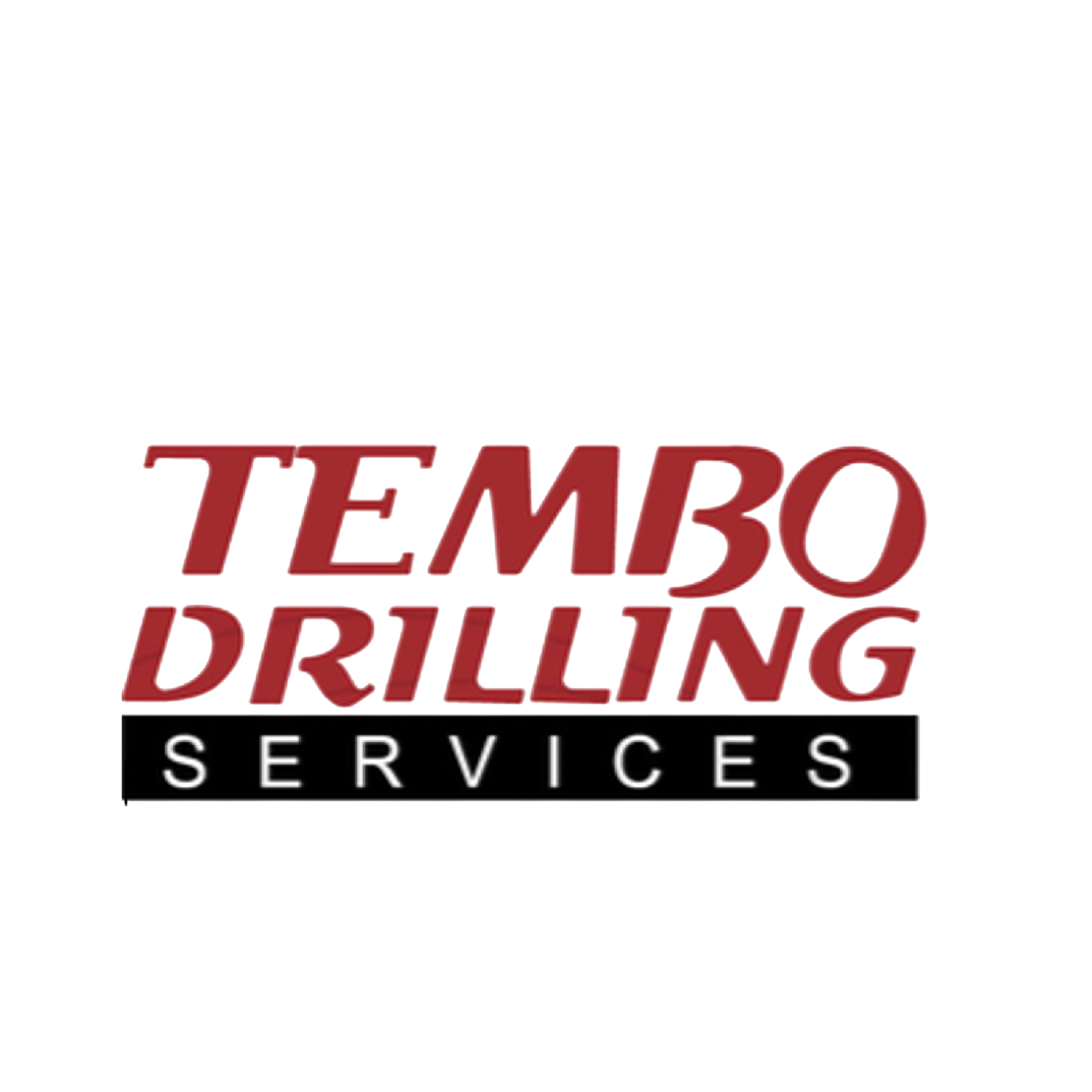 Professional Tembo Drilling Company Profile Designed by Frajuu Digitals